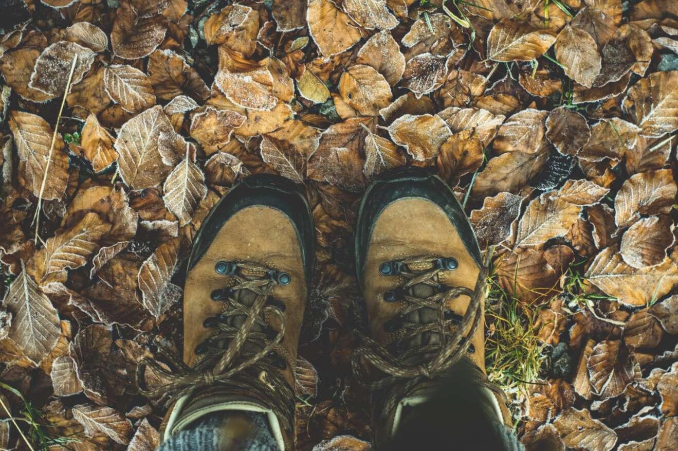 Bois de Ferrières, quand la nature s'éveille !