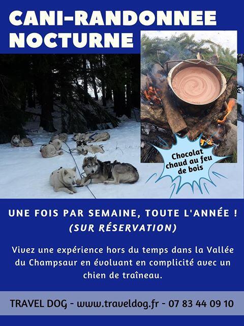 Cani rando nocturne avec Travel Dog