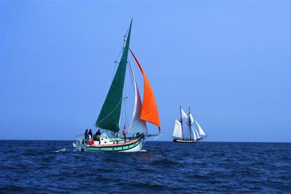 L'île de Batz, la Baie de Morlaix à la voile