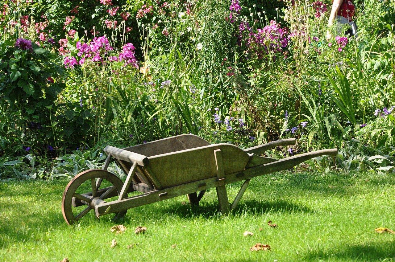 jardinage4.jpg