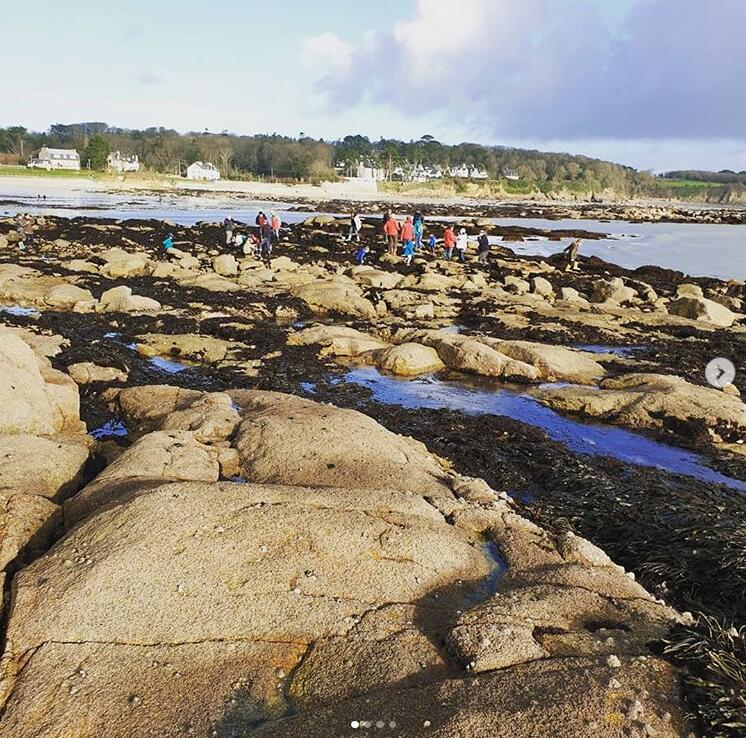 Pêche à pied sur l'estran