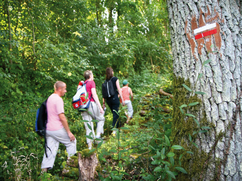 Randonnée en Vallée du Loir