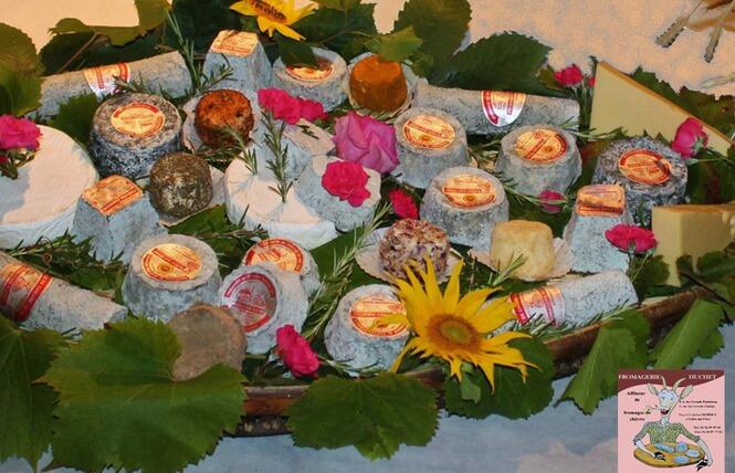 visite gourmande_fromagerie huchet_selles-sur-cher