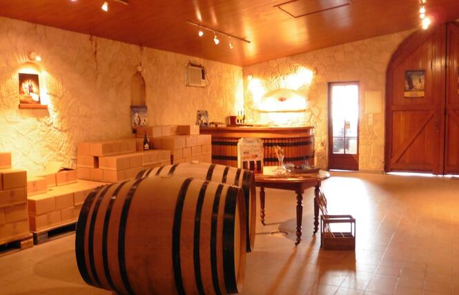 viticulteur_domaine des chezelles_noyers-sur-cher
