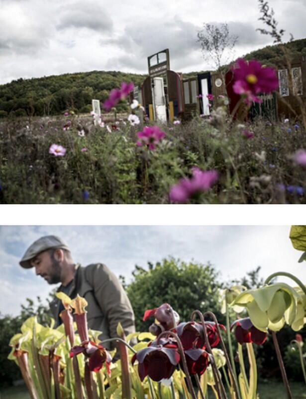 Troc-aux-plantes-Zone i-Thoré-la-Rochette