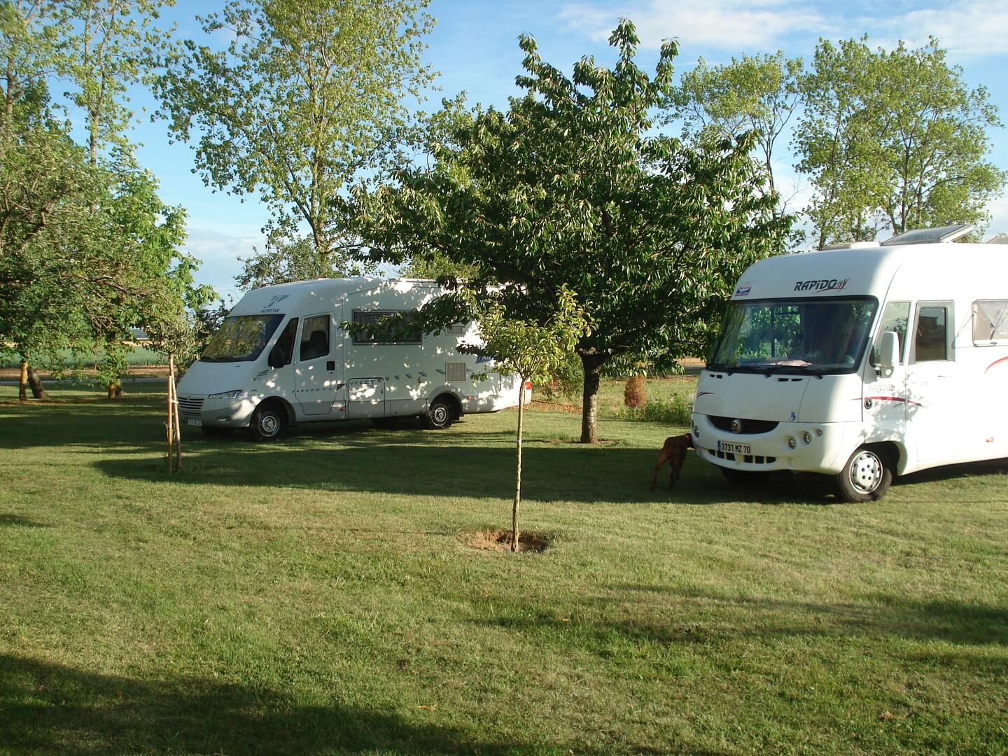 Camping cars dans le verger