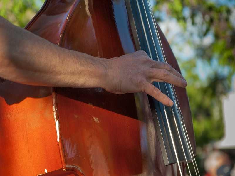 nuit-des-douves-contrebasse-musique-