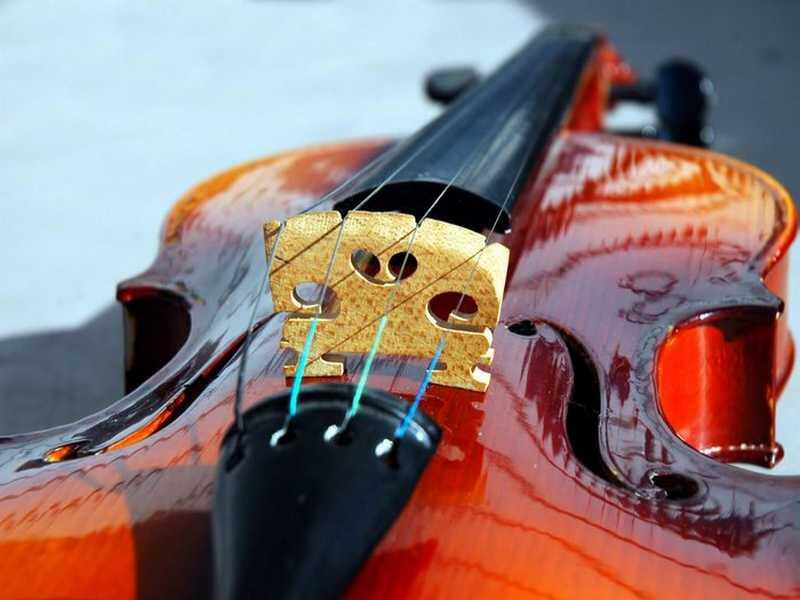 concerts-pontlevoy-Violon-