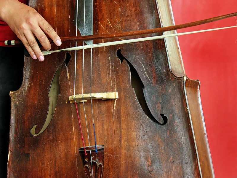 violoncelle