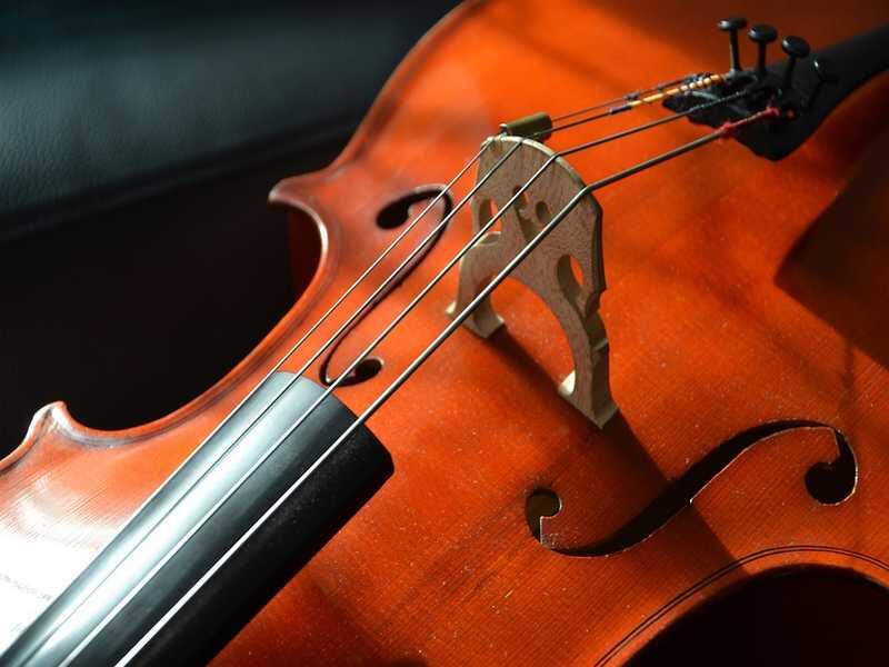 violoncelle-cordes