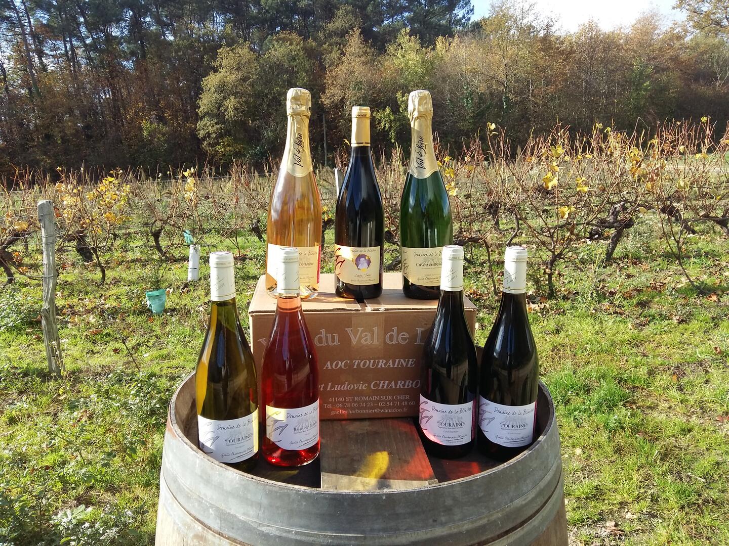 domaine-bliniere