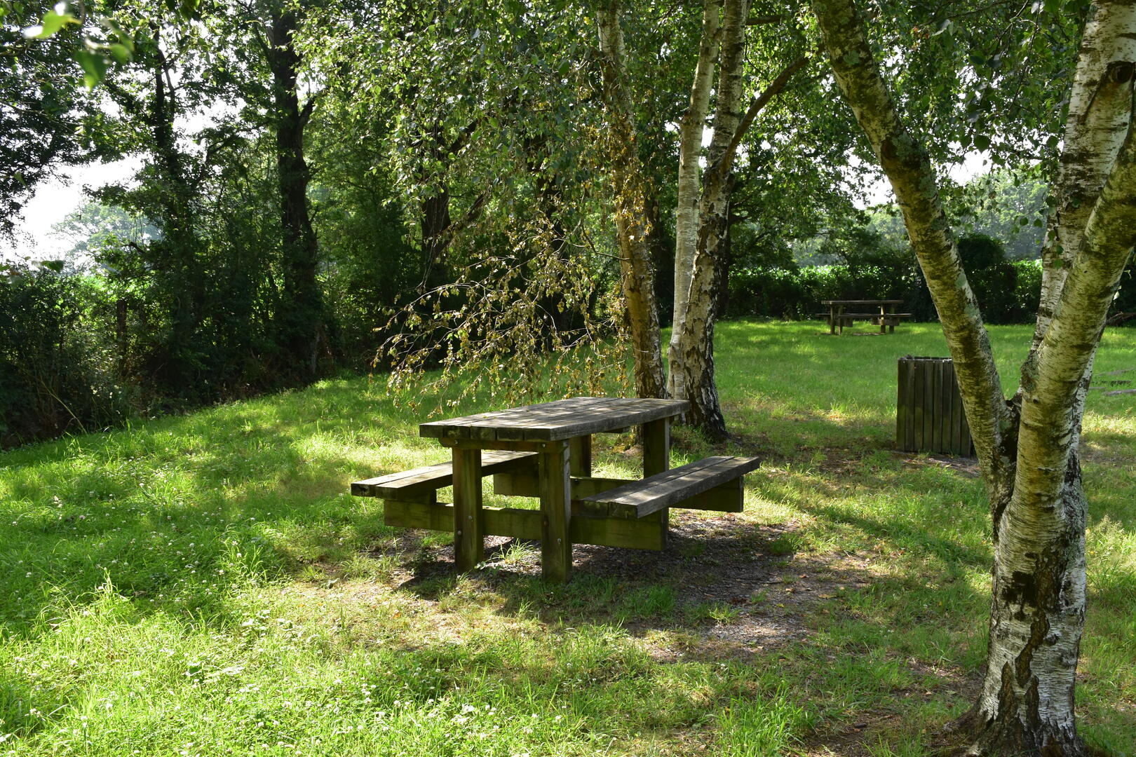 aire-picnic-marland
