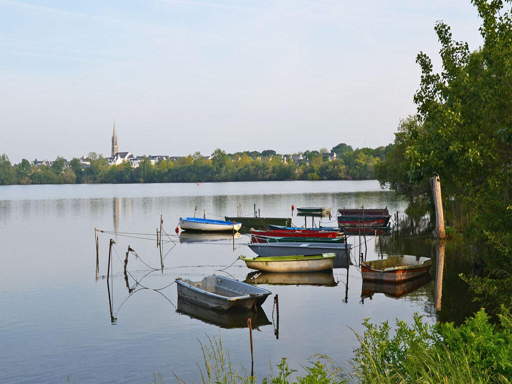 PCU44-bois-joalland