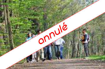 visuel-marche-nordique-annule