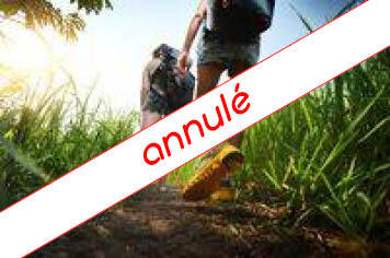 visuel-rando-annule-4