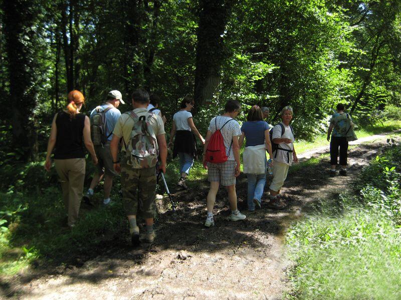 Bagnoles-de-l-Orne-Sortie-nature-Randonnee-GDBDO--3--2