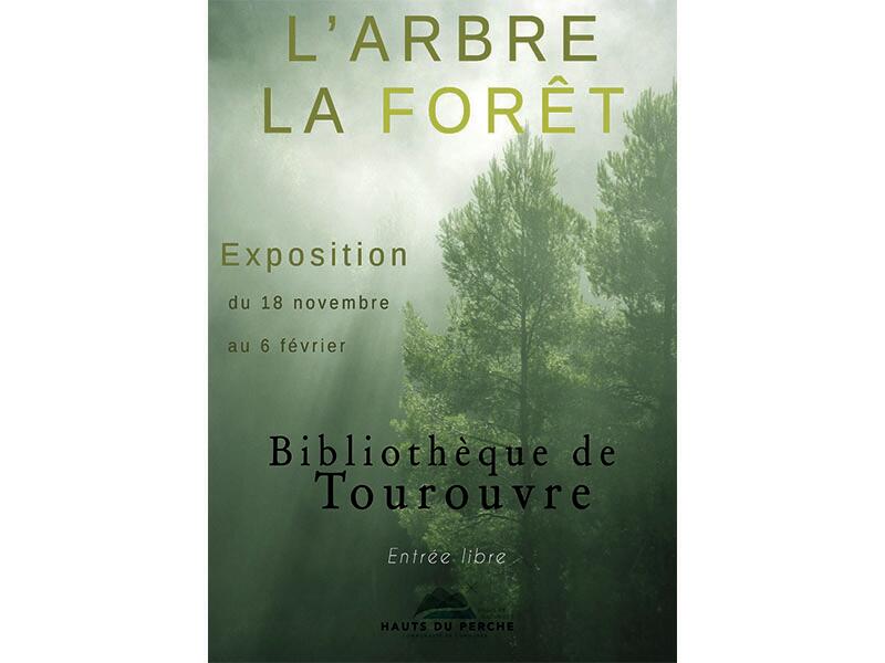 L'arbre la forêt 800 x 600