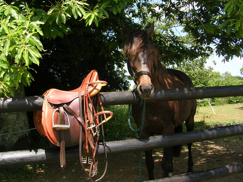 img-name-mising
