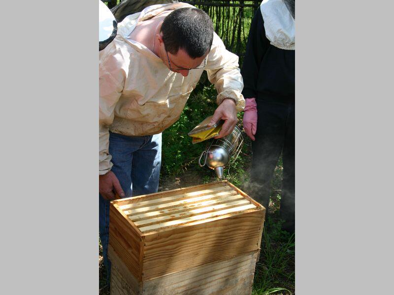 ecomusee_apiculture1_800