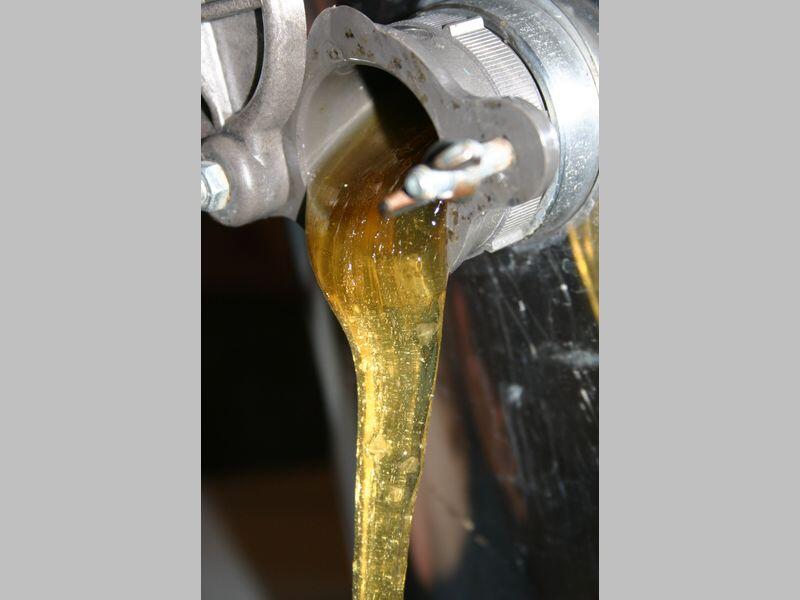 ecomusee_apiculture3_800