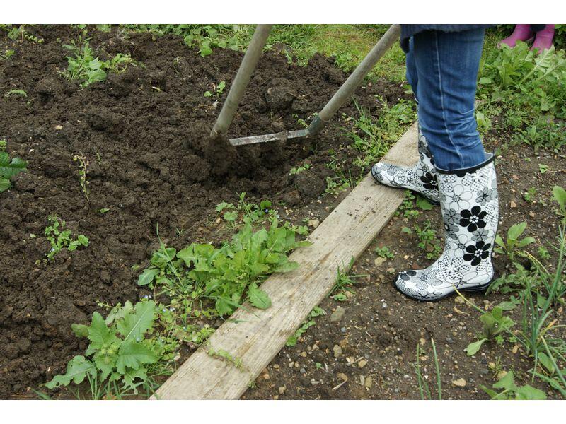 ecomusee_jardin_800
