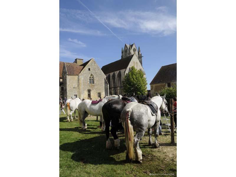 Fête du cheval percheron - St Cyr la Rosière