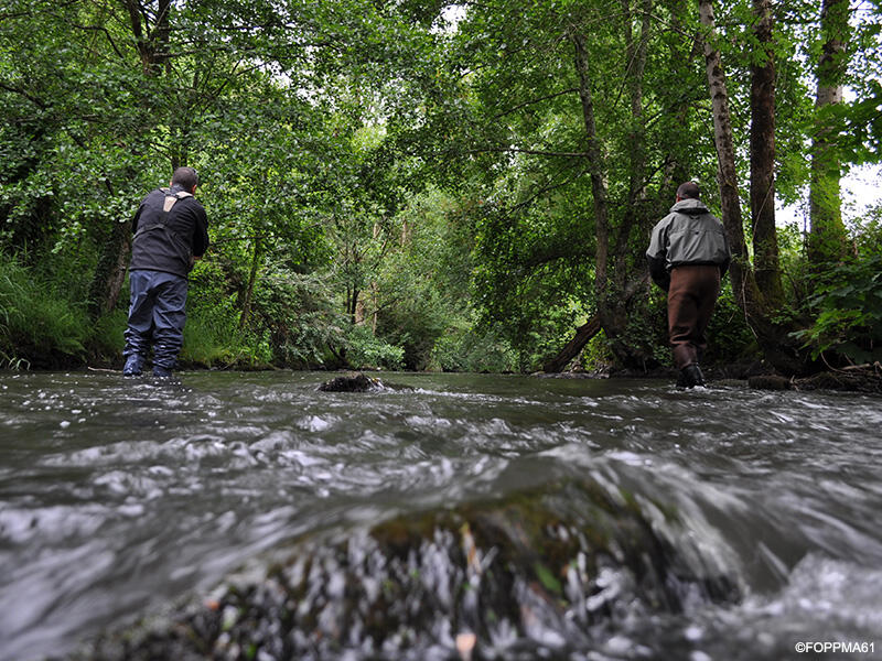 La Pêche dans l'Orne