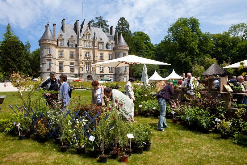 plantes