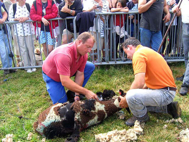 St-Lary-Fête-pastorale-à-Soulan-044