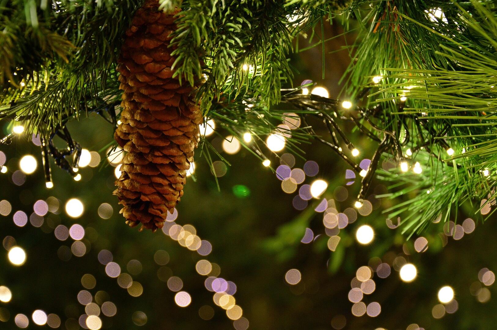 christmas-garland-3891232_1920