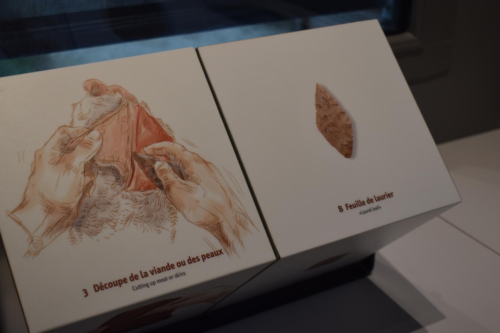 Visite sur les outils préhistoriques - Musée de Préhistoire Grottes de Saulges