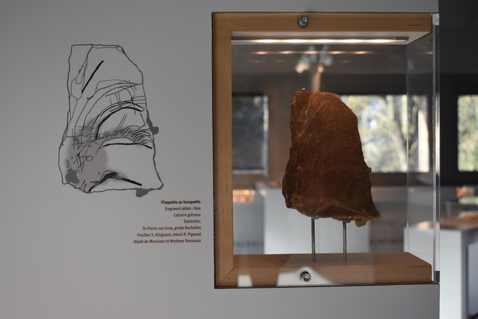 Visite "Des arts préhistoriques" - Musée de Préhistoire Grottes de Saulges