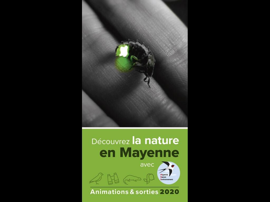 FMA-sortie-nature-mne-2020