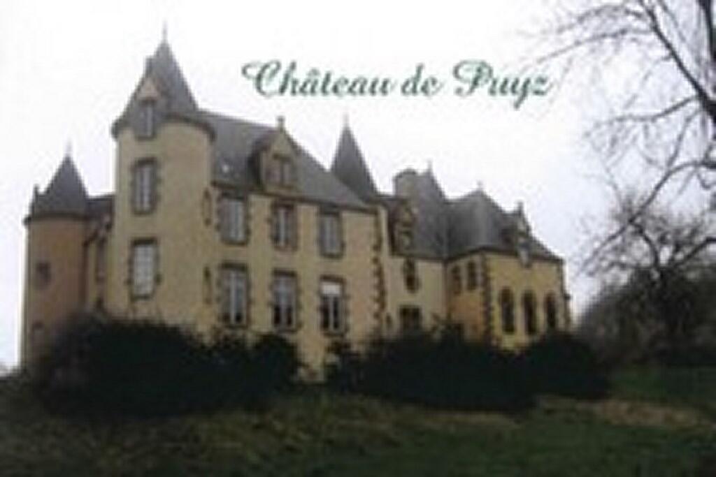 chateau_du_puyz (Copier)