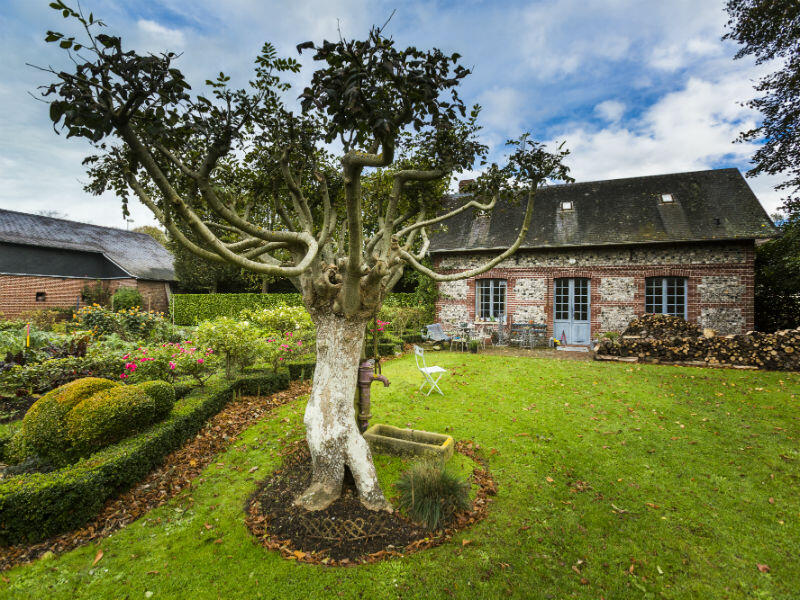 Criel-Sur-Mer - verger les près