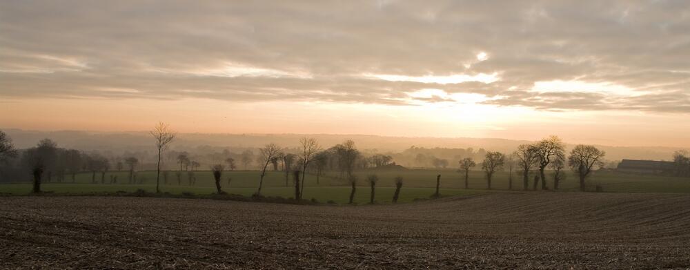 des paysages pour demain bocage matinal à Vieux-Marché © S. Jouon