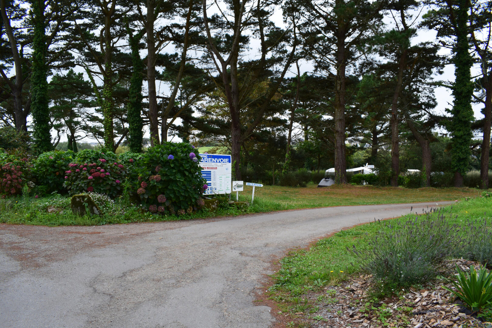 Larenvoie-Plouhinec---OT-Cap-Sizun-Pointe-du-Razbd