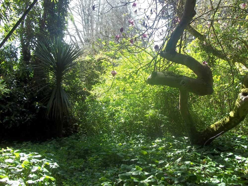 Jardin exotique de l'île Tristan - Douarnenez - 29