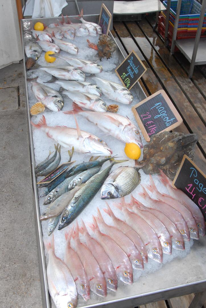 PValette08-poissons