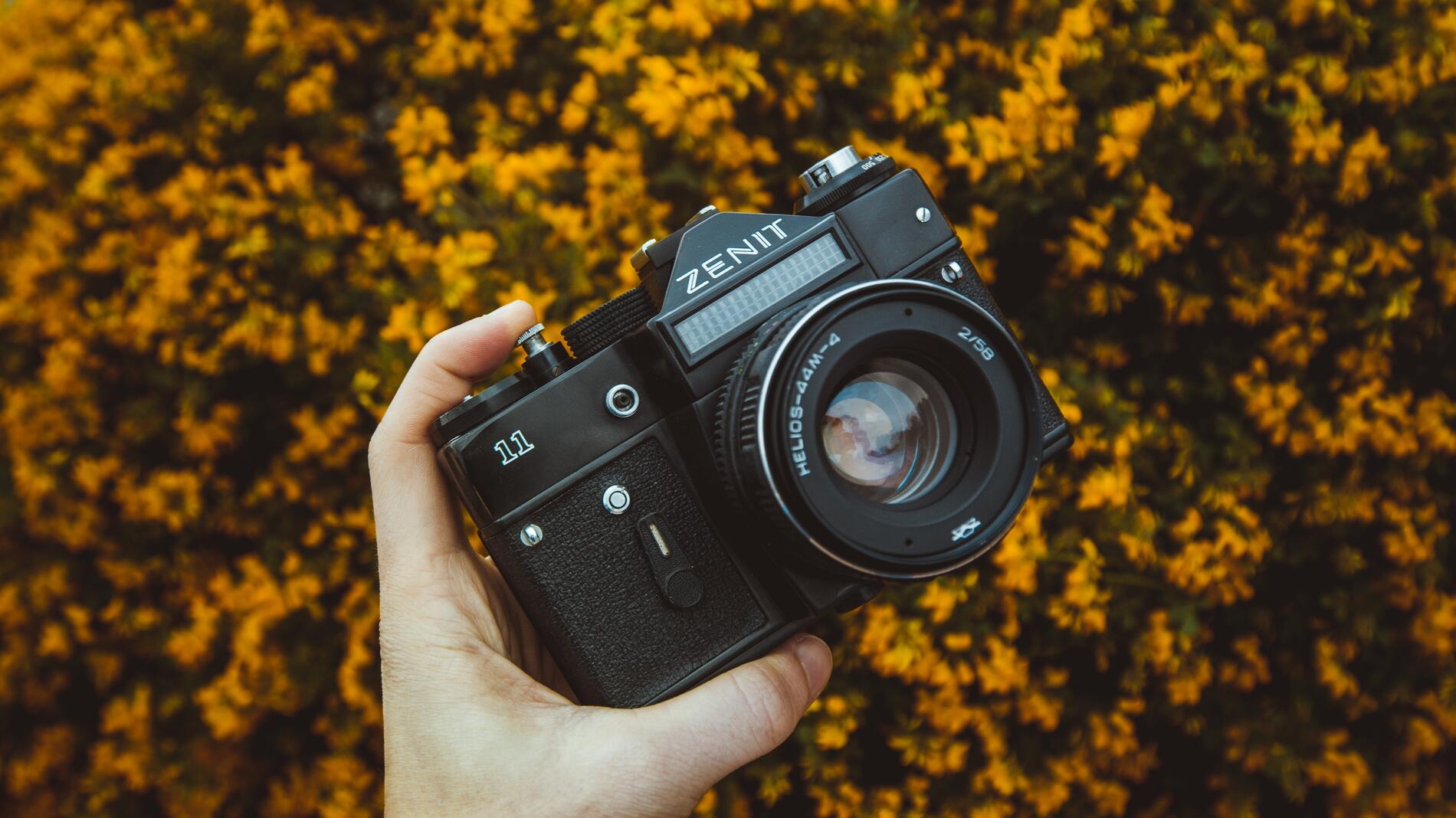 valentin-antonucci-646852-unsplash