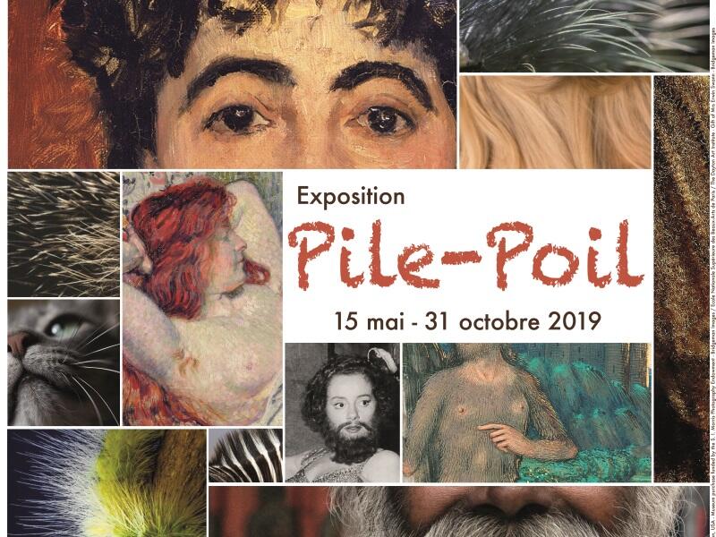 Affiche-Pile-Poil--2