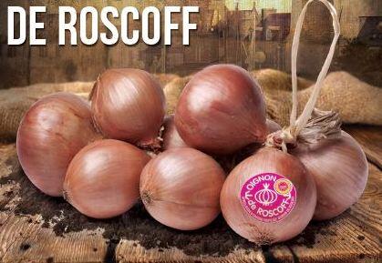 OignonsRoscoff
