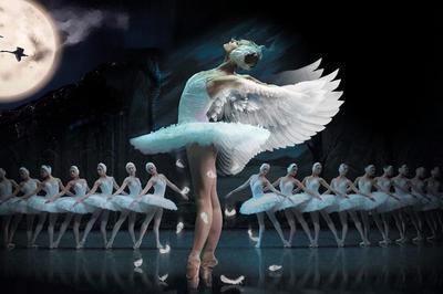 le-lac-des-cygnes-le-lac-des-cygnes-ballet-et-orchestre-Hermione-21-04-2020