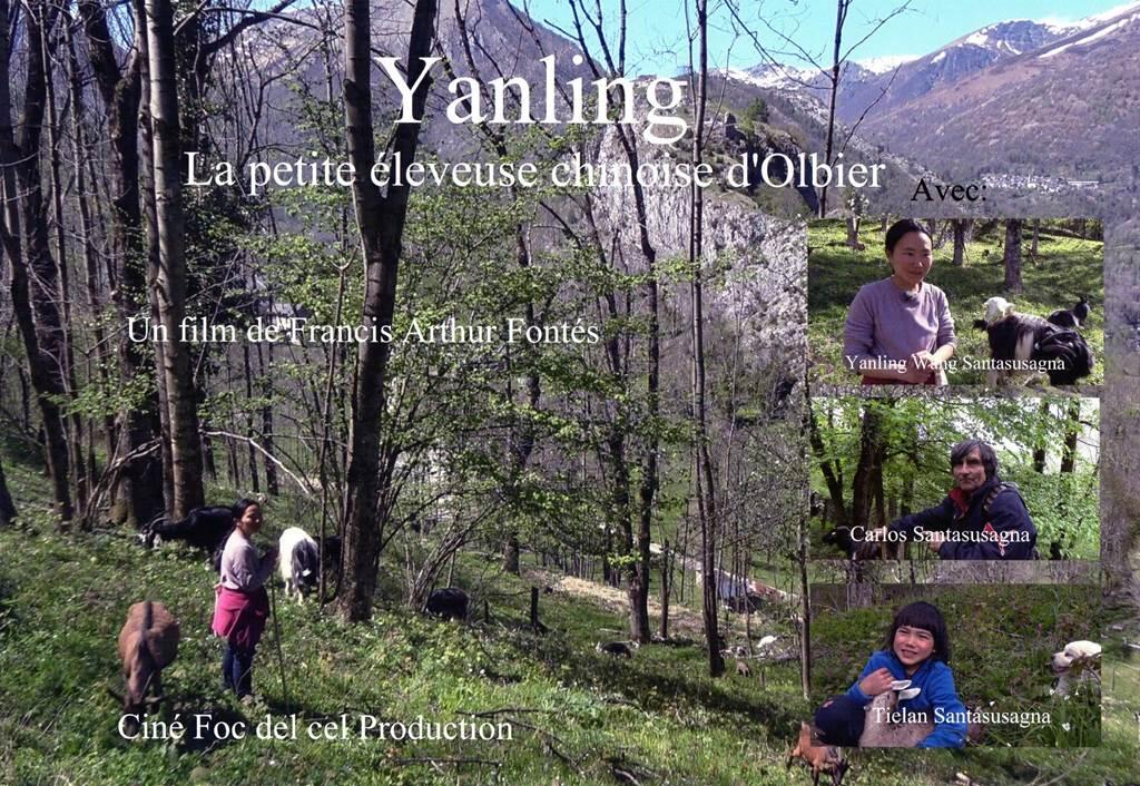 film fontes