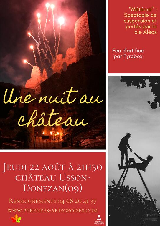 une nuit au chateau