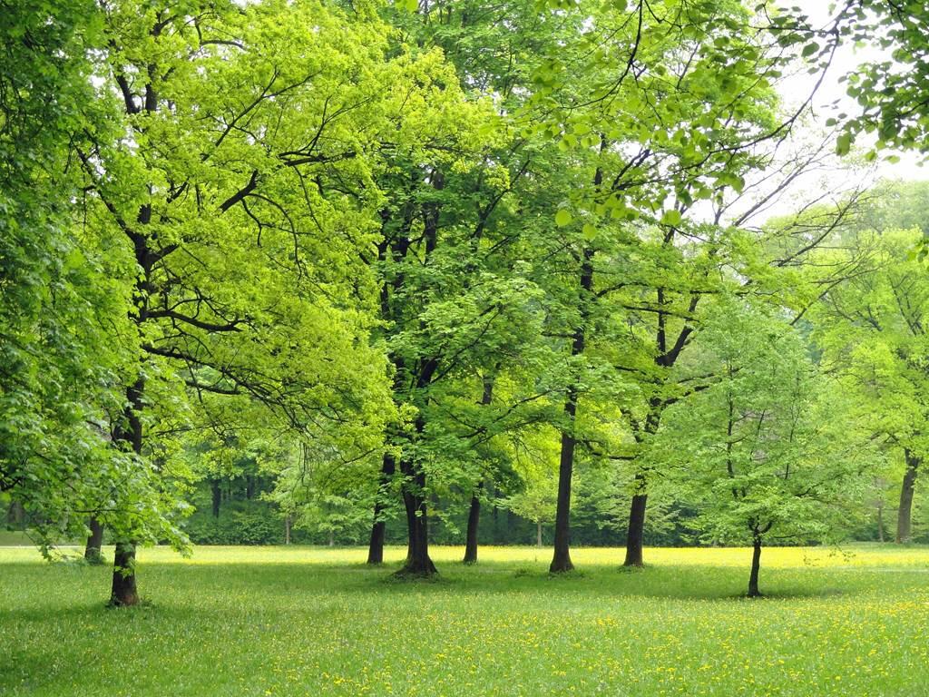 parc thermal