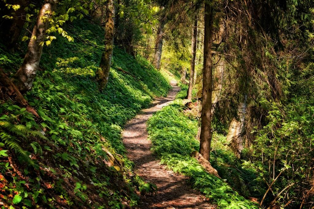 Parcours de Génat