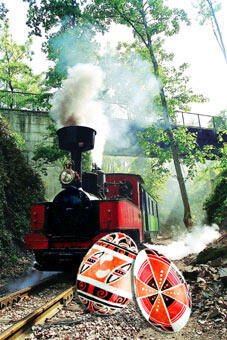 47011_train_oeufs