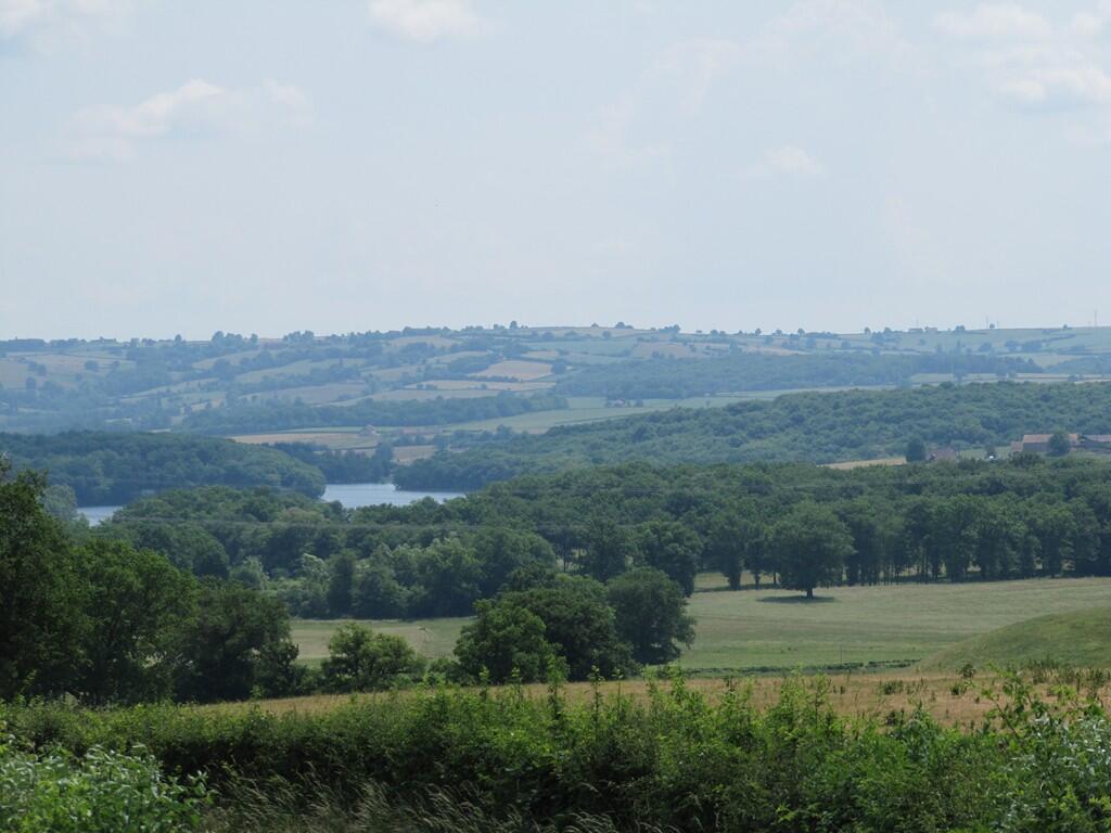 Paysage 1