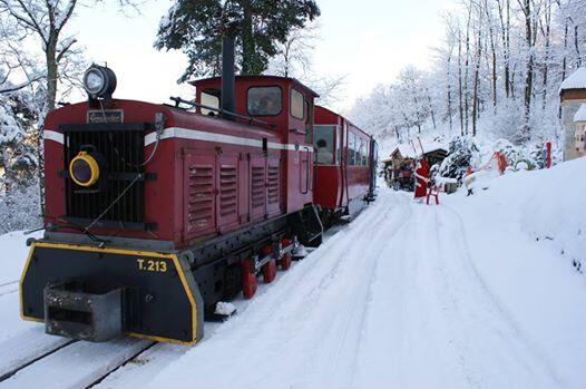 train_noel